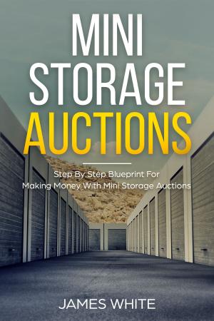 Cover of the book Mini Storage Auctions by Janine Schott