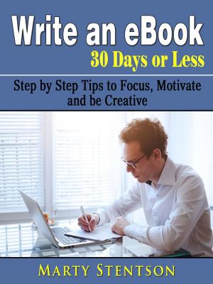 Cover of the book Write an eBook in 30 Days or Less by BUDKIDS
