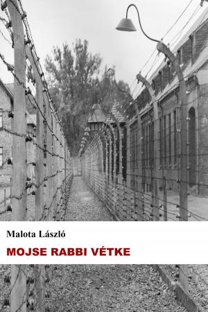 Cover of the book Mojse rabbi vétke by George Thomas Clark