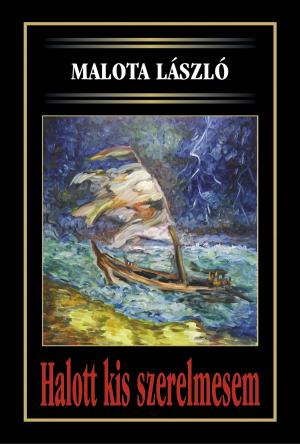 Cover of the book Halott kis szerelmesem by Barbara A Hamilton