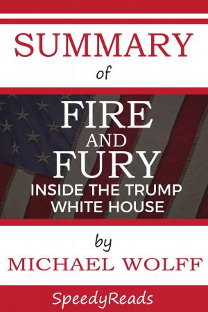 Cover of the book Summary of Fire and Fury by Robert C. Worstell, Richard Saunders