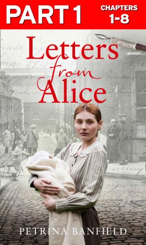 Cover of the book Letters from Alice: Part 1 of 3: A tale of hardship and hope. A search for the truth. by Steve Jones