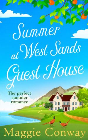 bigCover of the book Summer at West Sands Guest House by 