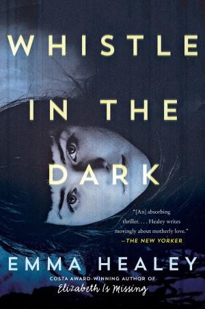 Cover of the book Whistle in the Dark by Frances E Jensen, Amy Ellis Nutt