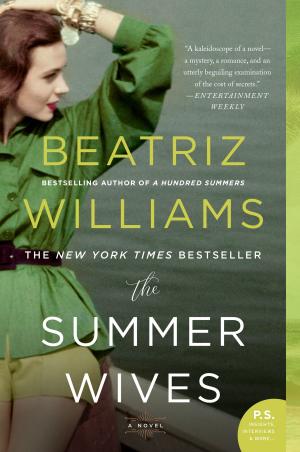 Cover of the book The Summer Wives by Elle Klass