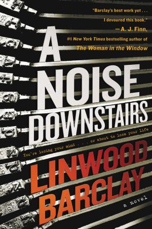 Cover of the book A Noise Downstairs by Jorge Cruise