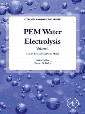 Cover of the book PEM Water Electrolysis by Pei An