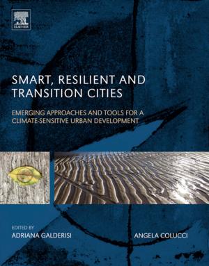 Cover of the book Smart, Resilient and Transition Cities by Mark Siegesmund