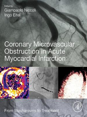 Cover of the book Coronary Microvascular Obstruction in Acute Myocardial Infarction by Jan Kleissl