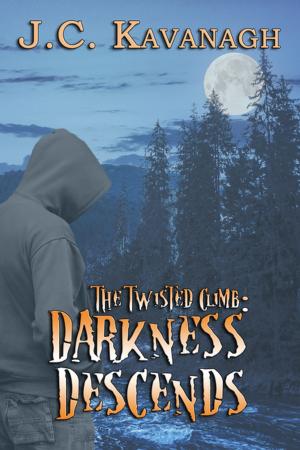 Cover of the book Darkness Descends by Michael Canfield