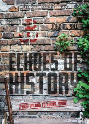 Cover of the book Echoes of History by Michele C. St. Amour