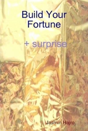 Cover of the book Build Your Fortune by Jasmin Hajro