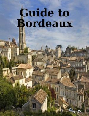 Book cover of Guide to Bordeaux