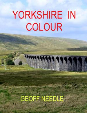 bigCover of the book Yorkshire In Colour by 