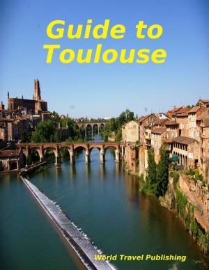 Cover of the book Guide to Toulouse by Goldmine Reads