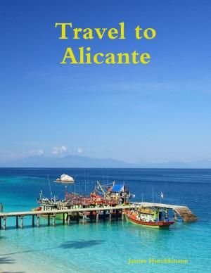 Cover of the book Travel to Alicante by Erikas Nebilevičius