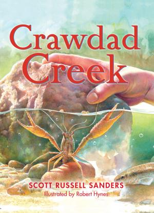 Cover of the book Crawdad Creek by Chris Davis