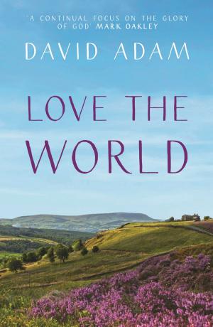 bigCover of the book Love the World by 