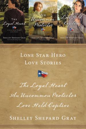 Book cover of Lone Star Hero Love Stories
