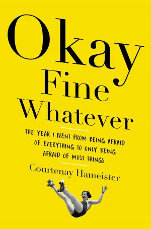 Cover of the book Okay Fine Whatever by Stephenie Meyer