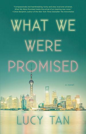 Cover of the book What We Were Promised by FrancaMbaba