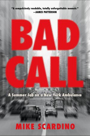 Cover of the book Bad Call by Jennie Melamed