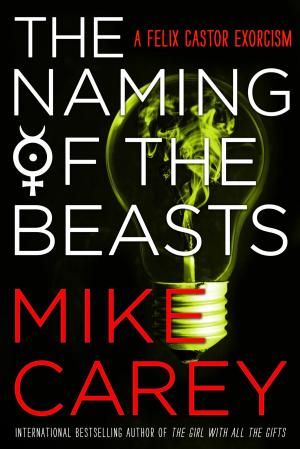 Book cover of The Naming of the Beasts