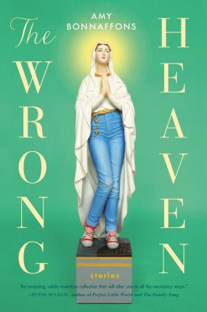 Cover of the book The Wrong Heaven by Sarah Lotz