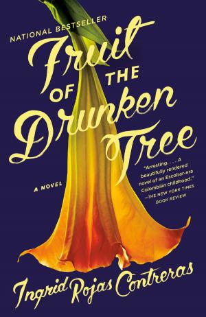 Book cover of Fruit of the Drunken Tree