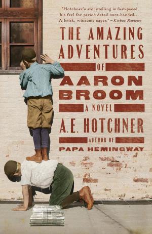 Book cover of The Amazing Adventures of Aaron Broom