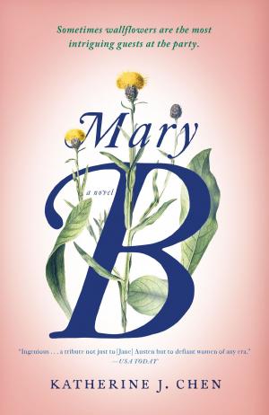 Cover of the book Mary B by Bernard-Henri Lévy
