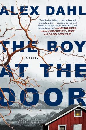 Cover of the book The Boy at the Door by Amanda Brooks