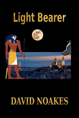Cover of the book Light Bearer by Anita E. Shepherd