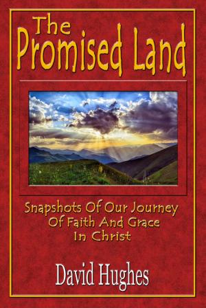 Cover of the book The Promised Land: Snapshots Of Our Journey Of Faith And Grace In Christ by Peter L Adams