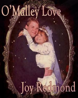 Cover of the book O'Malley Love by J. Bango