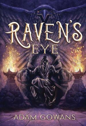 Cover of the book Raven's Eye by Ellen Wolfson Valladares