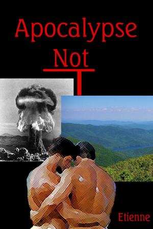 Cover of the book Apocalypse: Not by Amy Cate