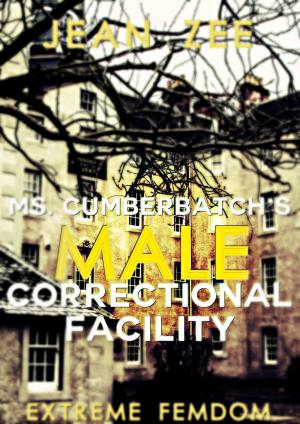 Cover of the book Ms. Cumberbatch's Male Correctional Facility by Lissy Bergman