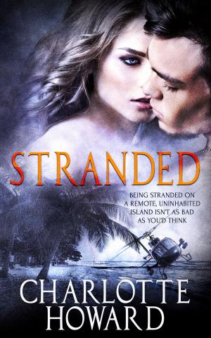 Cover of the book Stranded by Olivia Noble
