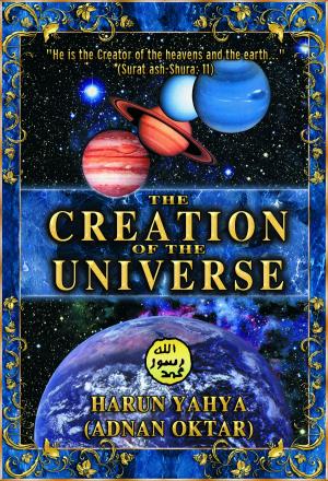 Cover of The Creation of the Universe