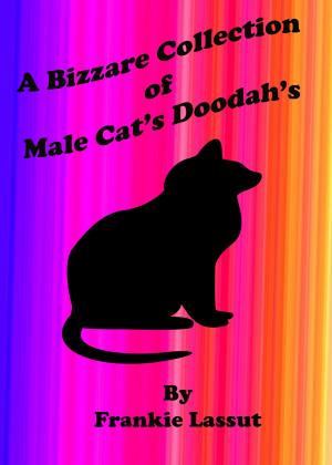 Cover of the book A Bizarre Collection of Male Cat's Doodah's by Frankie Lassut