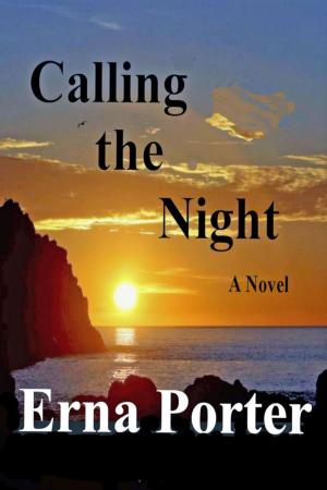 Cover of the book Calling the Night by Emily Padraic