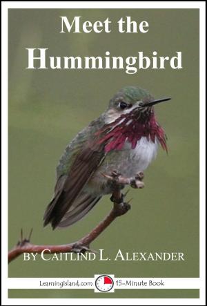 Book cover of Meet the Hummingbird