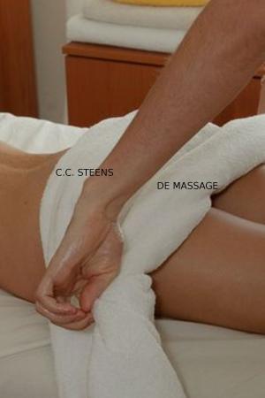 bigCover of the book De Massage by 
