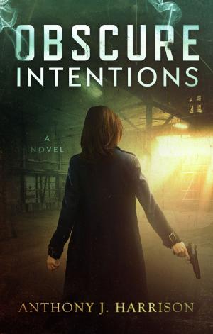 Cover of the book Obscure Intentions by S.N. Saleem