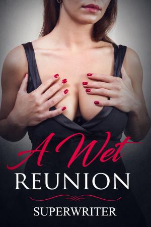 Cover of the book A Wet Reunion by Viktoria Skye