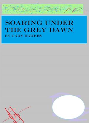Book cover of Soaring Under the Grey Dawn