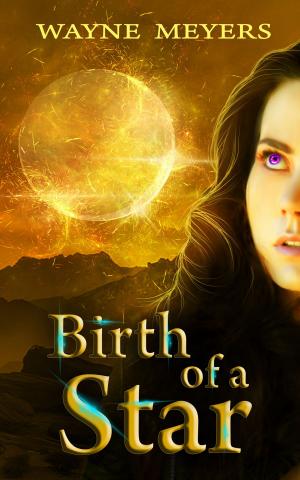 Cover of the book Birth of a Star by Carey Kight