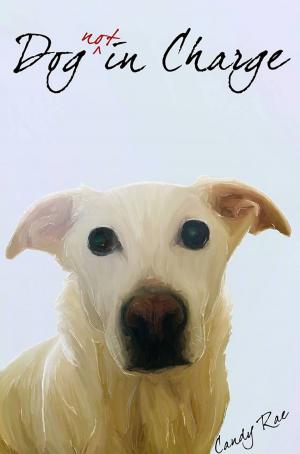 bigCover of the book Dog Not in Charge by 