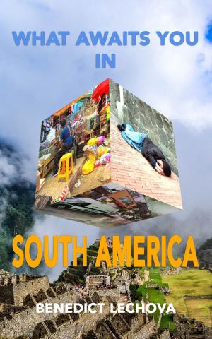 Book cover of What Awaits You In South America
